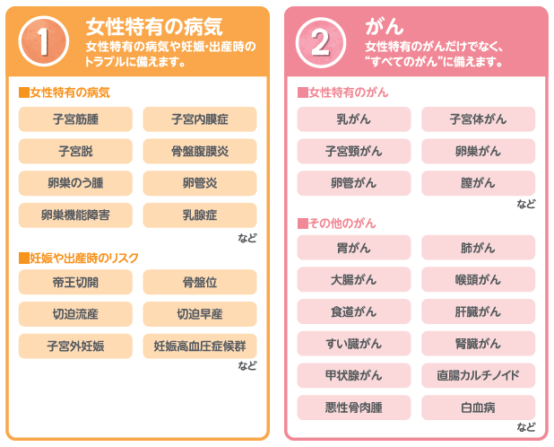 スマイルレディ　保障内容イメージ_1_2